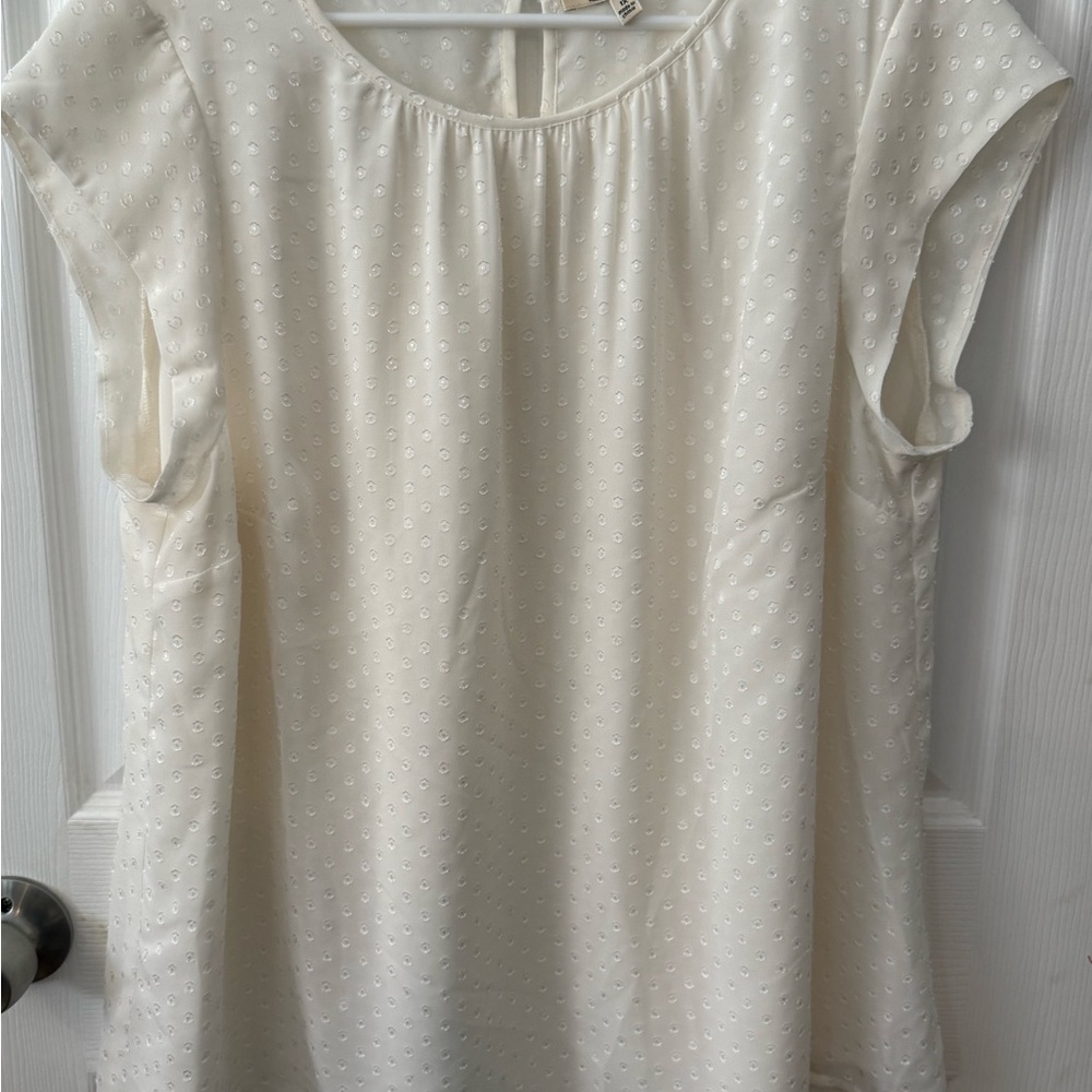 Chic Cream Blouse for Women